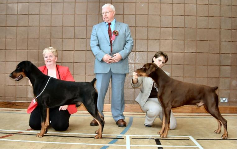 Dog CC and Reserve CC winners